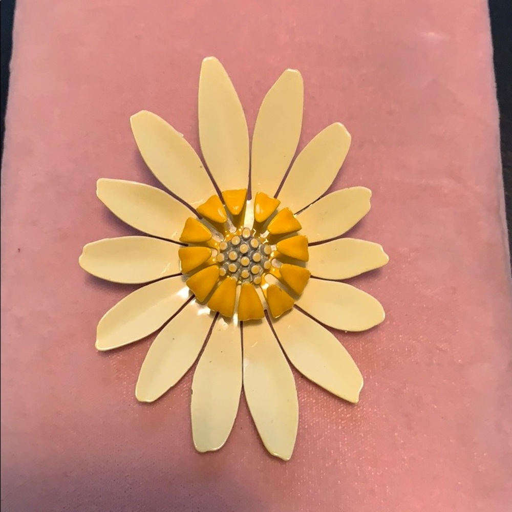 Vintage 1960s pin